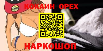 крисы Кунгур