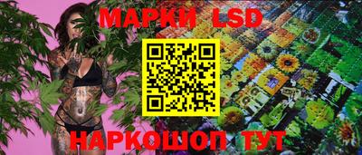 крисы Кунгур