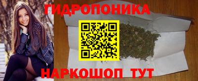 сатива Кулебаки