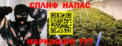 сатива Кулебаки