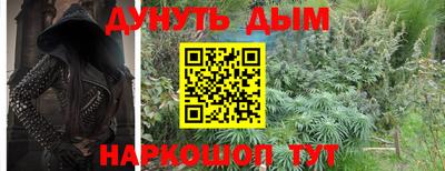 крисы Кунгур