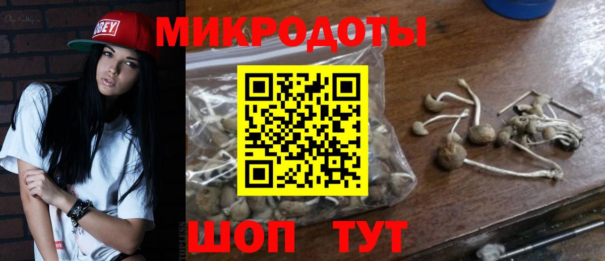 Псилоцибиновые грибы прущие грибы  Вход с VPN  Псилоцибиновые грибы прущие грибы  Ярославль 